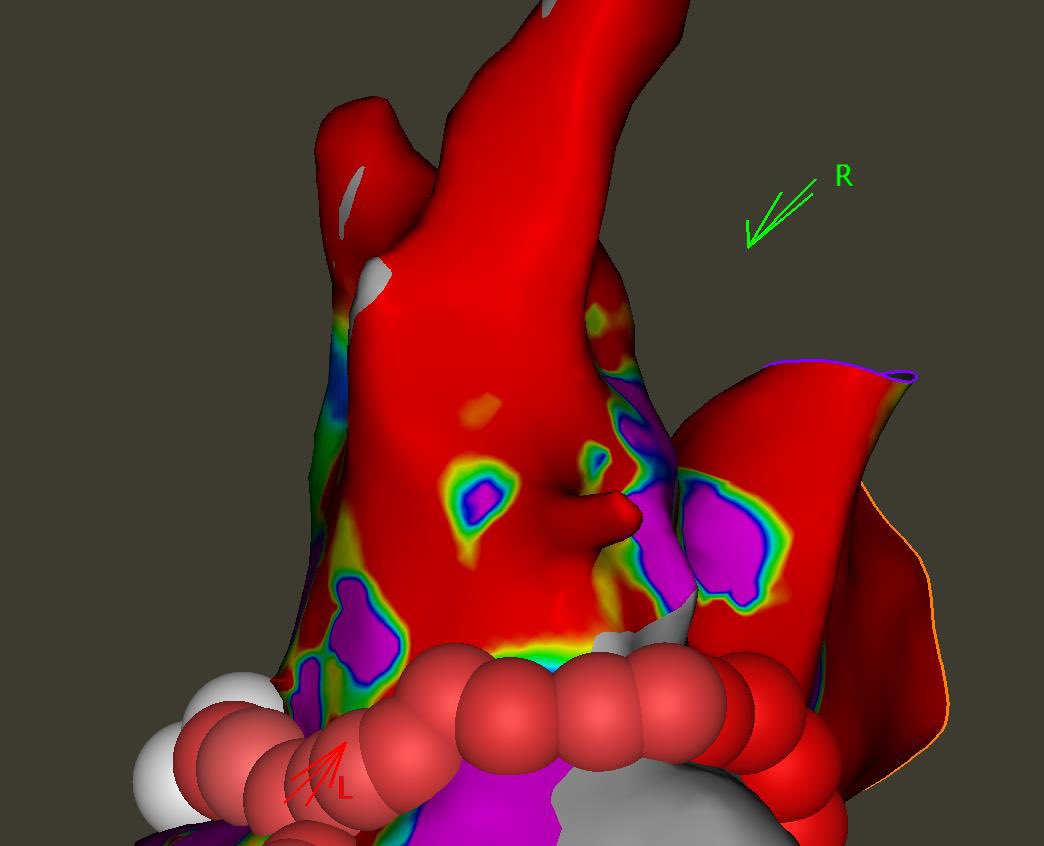 Charles Rouse, MD tweet media