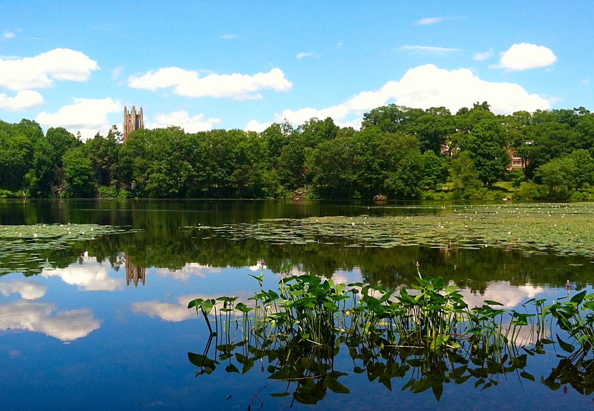 Lake Waban, Wellesley College
Old iphone 4 pic