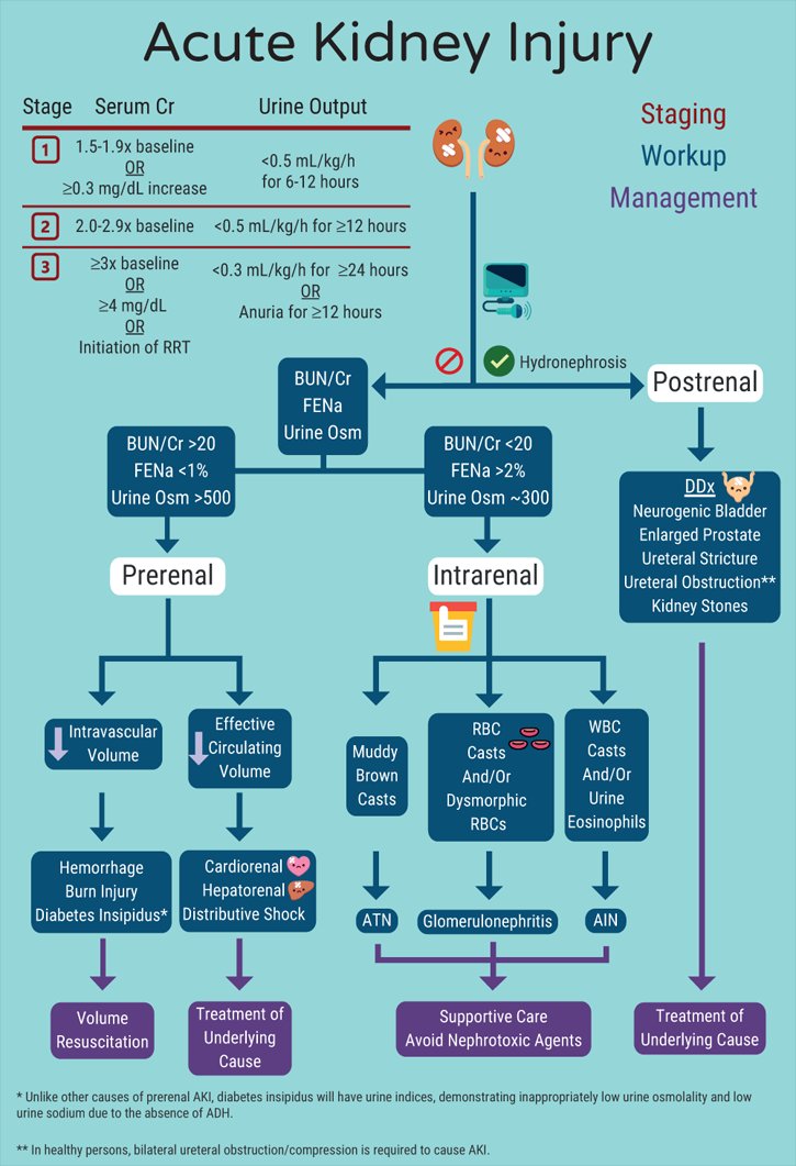 Acute kidney injury... 🔥🔥
Cause and cure.. 🎯🔓💫
#MedTwitter