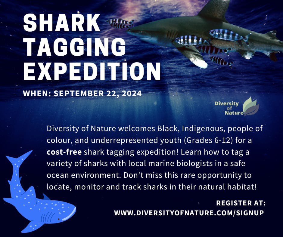 Zoya Tyabji (@zotabs) on Twitter photo New workshop alert for BIPOC and underrepresented youth in Nova Scotia.
Shark tagging with <a href="/DiversityofNat/">Diversity of Nature</a> is back! And it’s a free of cost event.
Register here: diversityofnature.com/signup New workshop alert for BIPOC and underrepresented youth in Nova Scotia.
Shark tagging with <a href="/DiversityofNat/">Diversity of Nature</a> is back! And it’s a free of cost event.
Register here: diversityofnature.com/signup