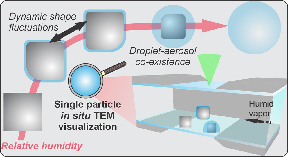 Congrats to the Woehl and Asa-Awuku labs on their joint publication in Environmental Science &amp; Technology! We used in situ TEM to reveal surprising nanoscale dissolution and droplet growth dynamics during water vapor uptake on NaCl nanocubes. <a href="/EnvSciTech/">Environmental Science & Technology Journals</a> tinyurl.com/2kcjnfue