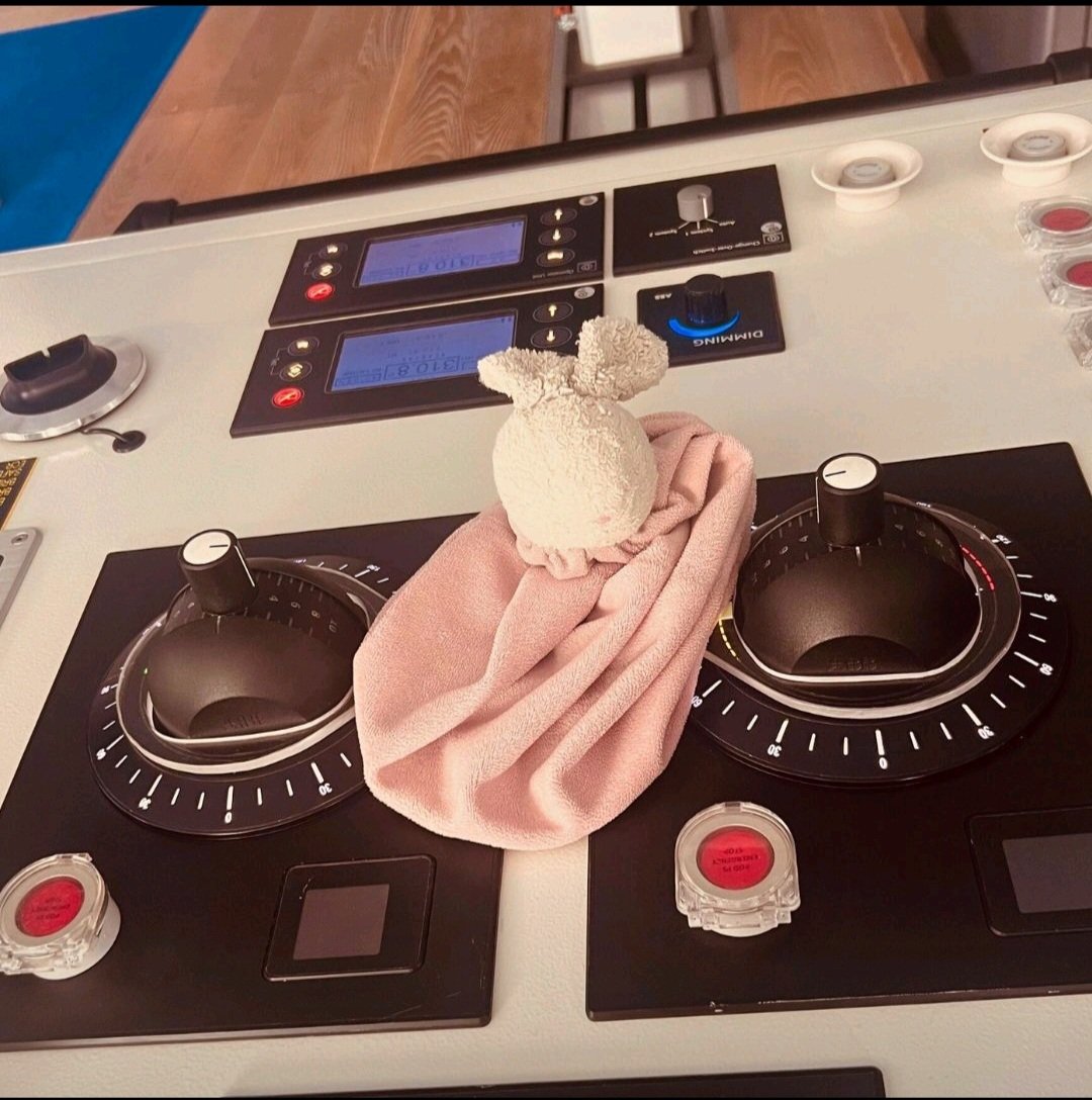 Todays #heartwarming story from onboard <a href="/PrincessCruises/">Princess Cruises</a> #sunprincess - doesn't cost anything to go over and above but can mean the world to someone... #kudos to the crew!