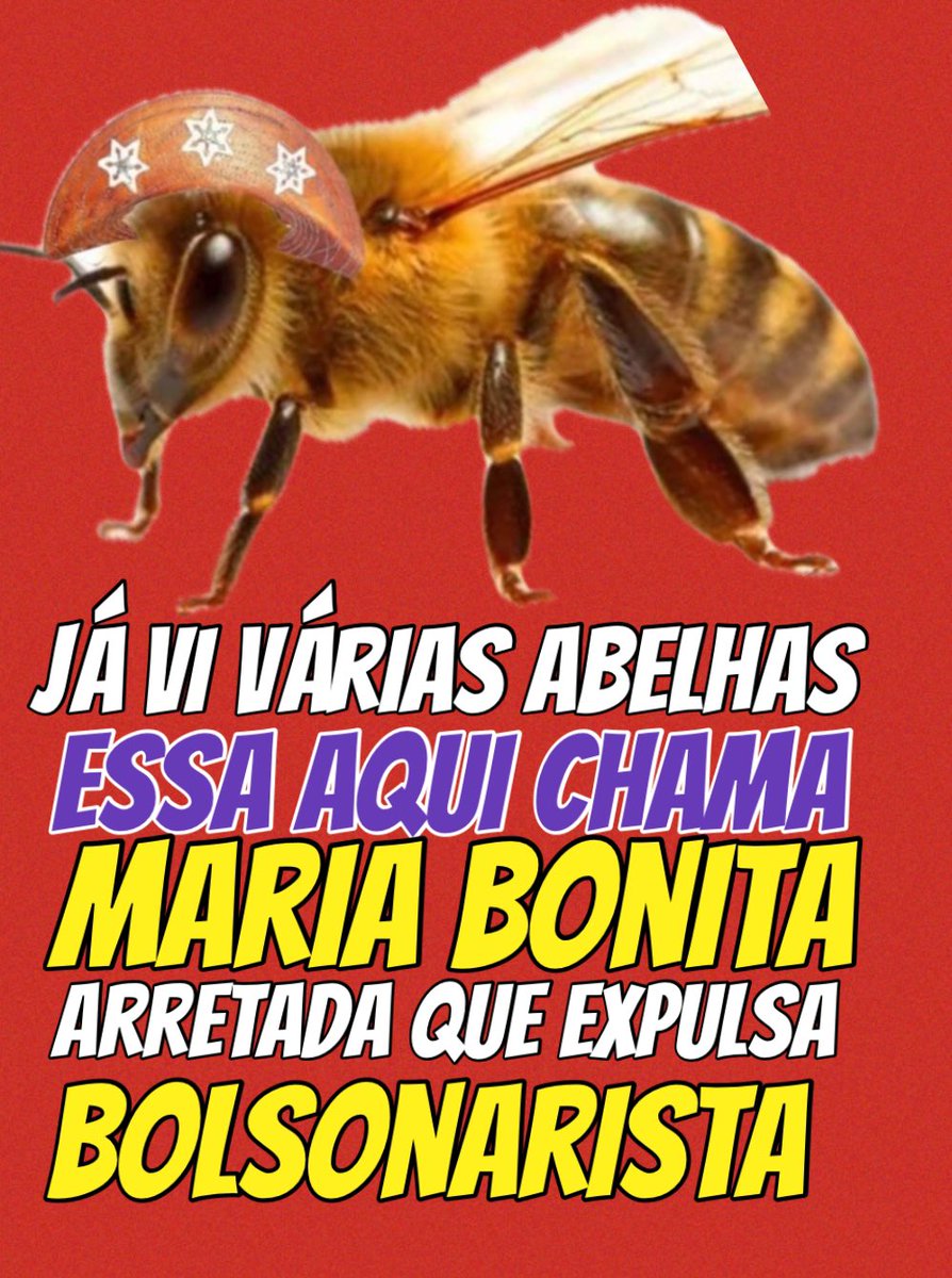 Lula Corinthiano🪼 (@olulamilgrau) on Twitter photo 