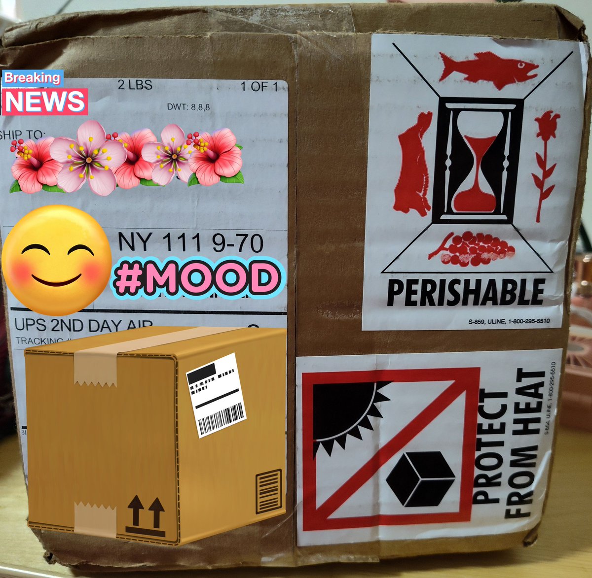 pinkprincessinthecity🌸🏙️🧳👩🏻‍🎨👩🏻‍🔬👩🏻‍🏫 tweet media