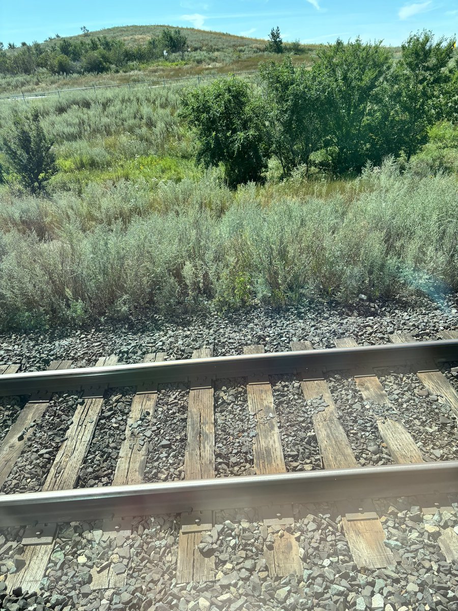 hawksley's tweet photo. train time :) #fallintothechateau https://t.co/XI3x65ND9F