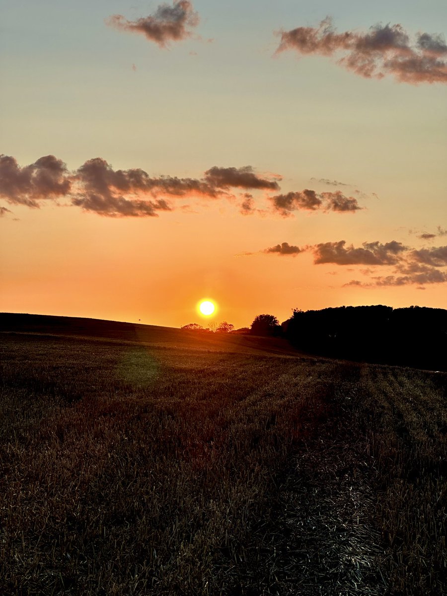 MrsF202's tweet photo. Watched the sunset on the hills over looking the Channel Tunnel (a few mins from home)…
So blessed to get these gorgeous skies 🧡🌅🌞
#Folkestone #MindfulLiving #sunchasing #sunsetphotography https://t.co/skXgEo0BHw