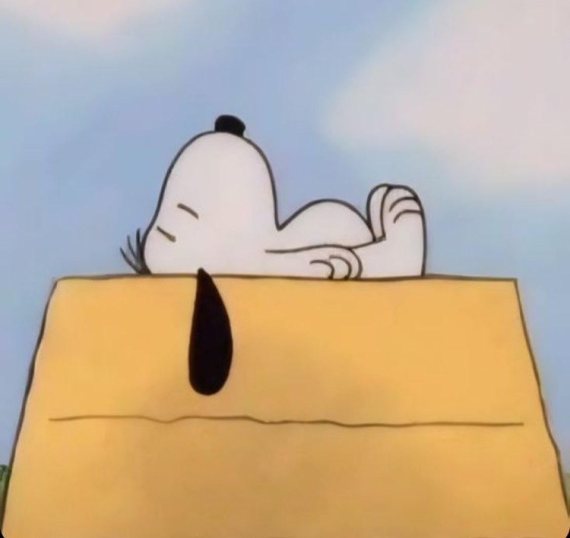 snoopy image of the day