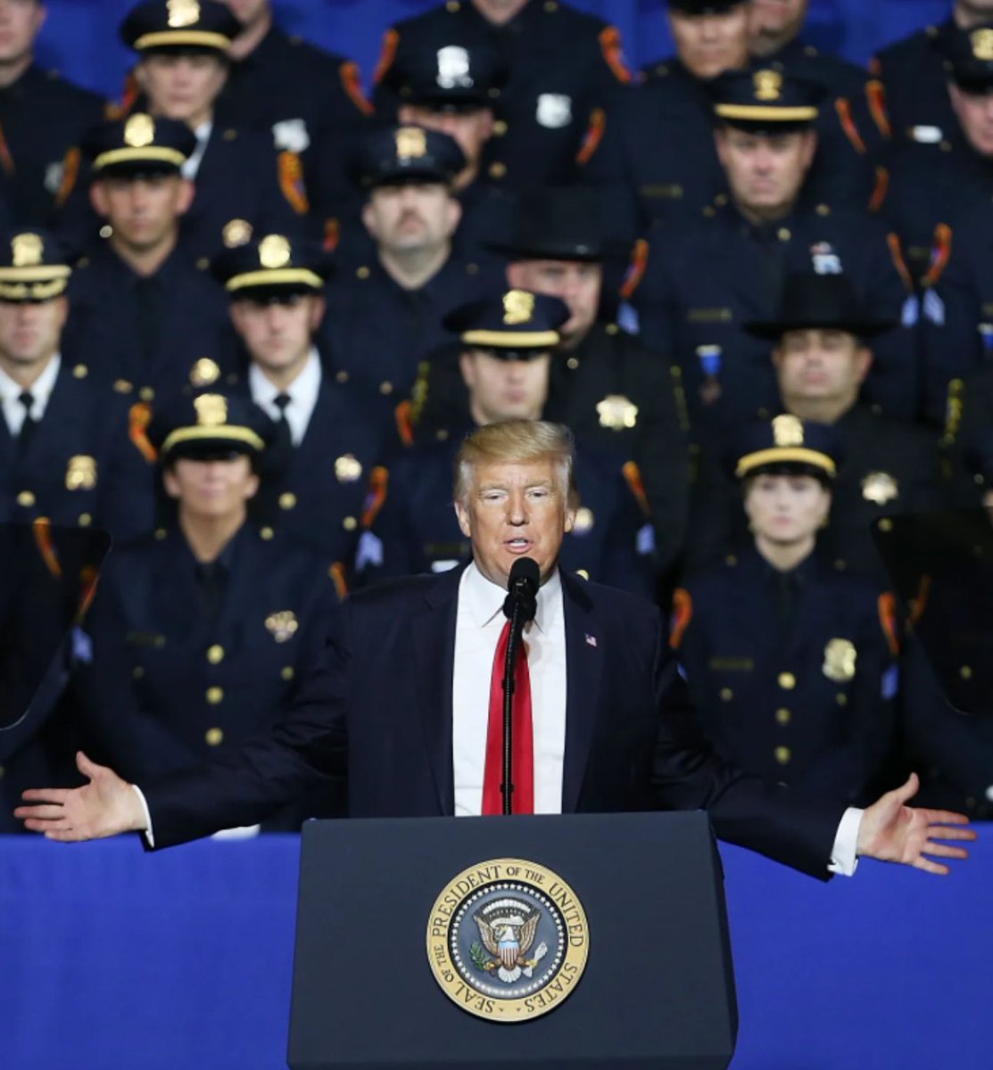 MAGA Voice tweet media