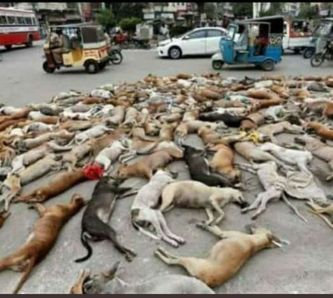 SHEKHKADIR74's tweet photo. @007AliSohrab 😂😂😂😂😂😂
भक्त मणिपुर पर  👇             भक्त बांग्लादेश पर 👇 https://t.co/iCKcmOFBAb