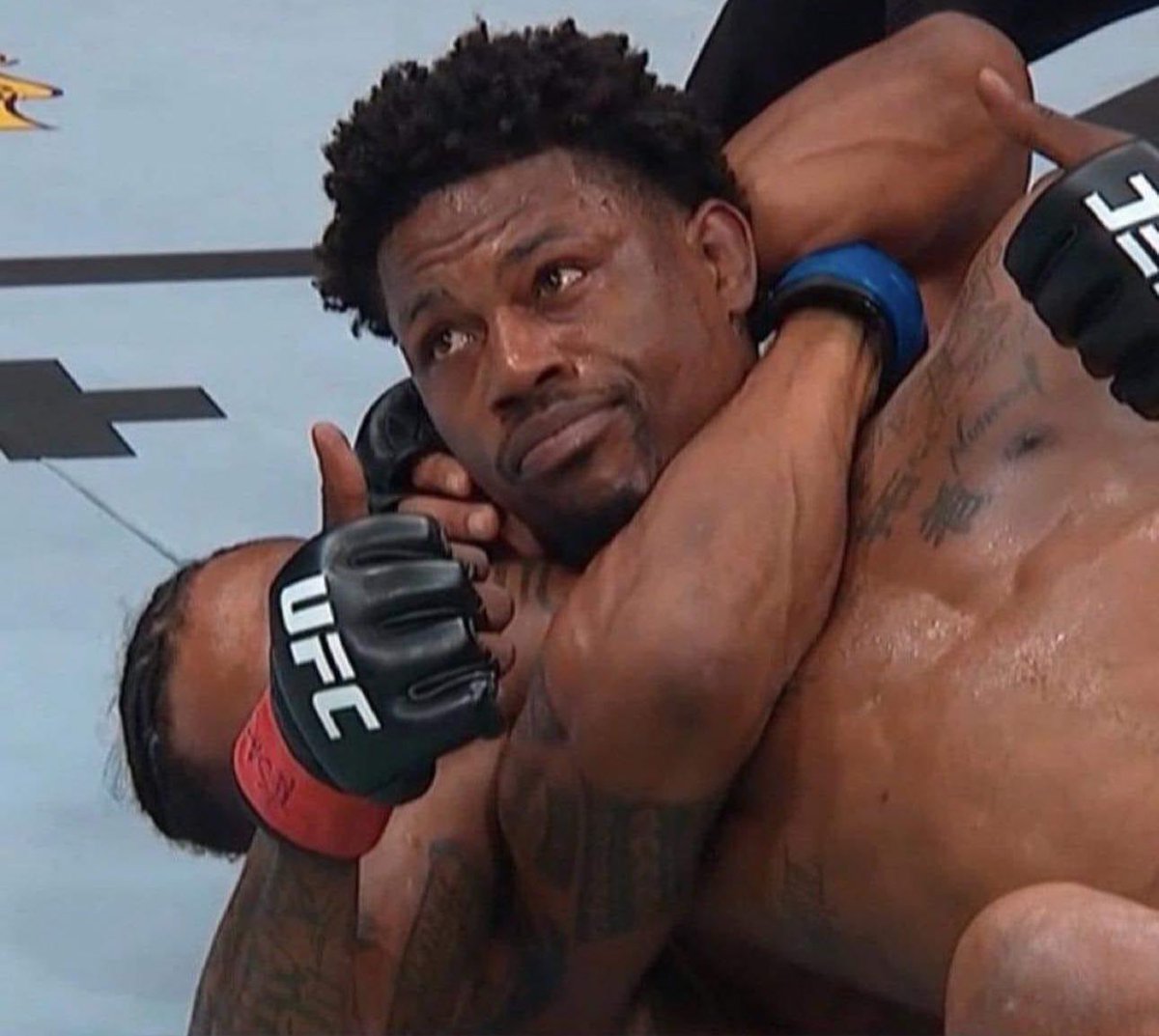 How's life treating you?

Me:🫤👍