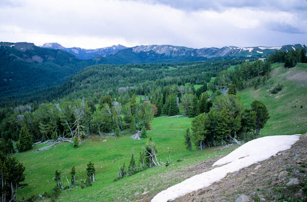 SE_Future's tweet image. Many conservation groups have forgotten their histories and roots: Montana is a good example dlvr.it/TC8smR