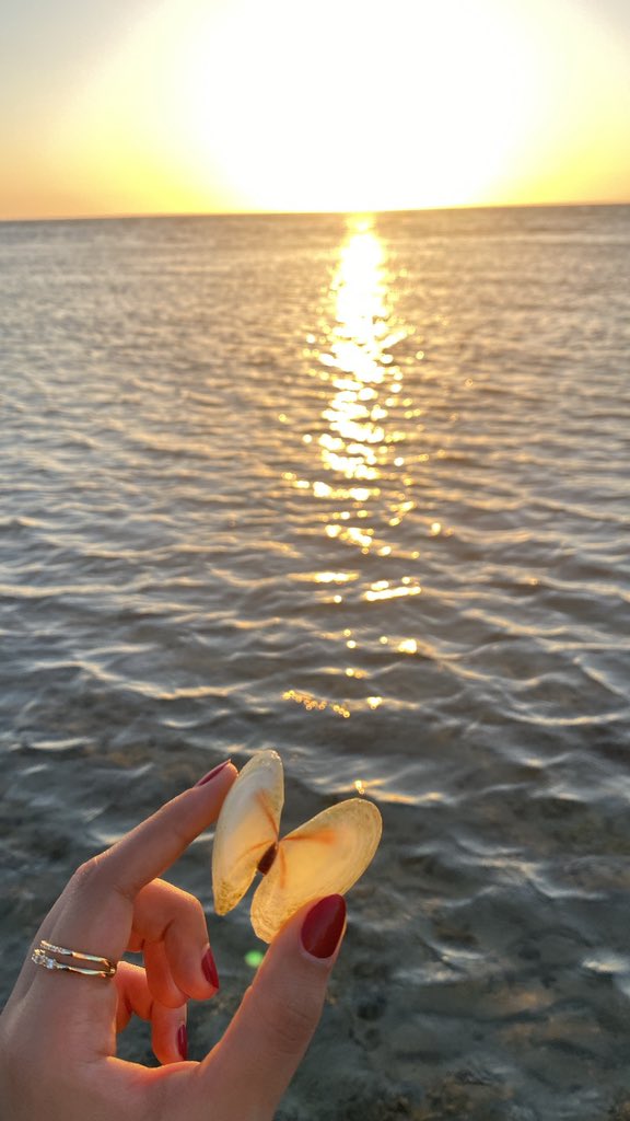 Rvll88's tweet photo. 🐚🌊💆🏻‍♀️🪷 https://t.co/L5qb6TiXAe