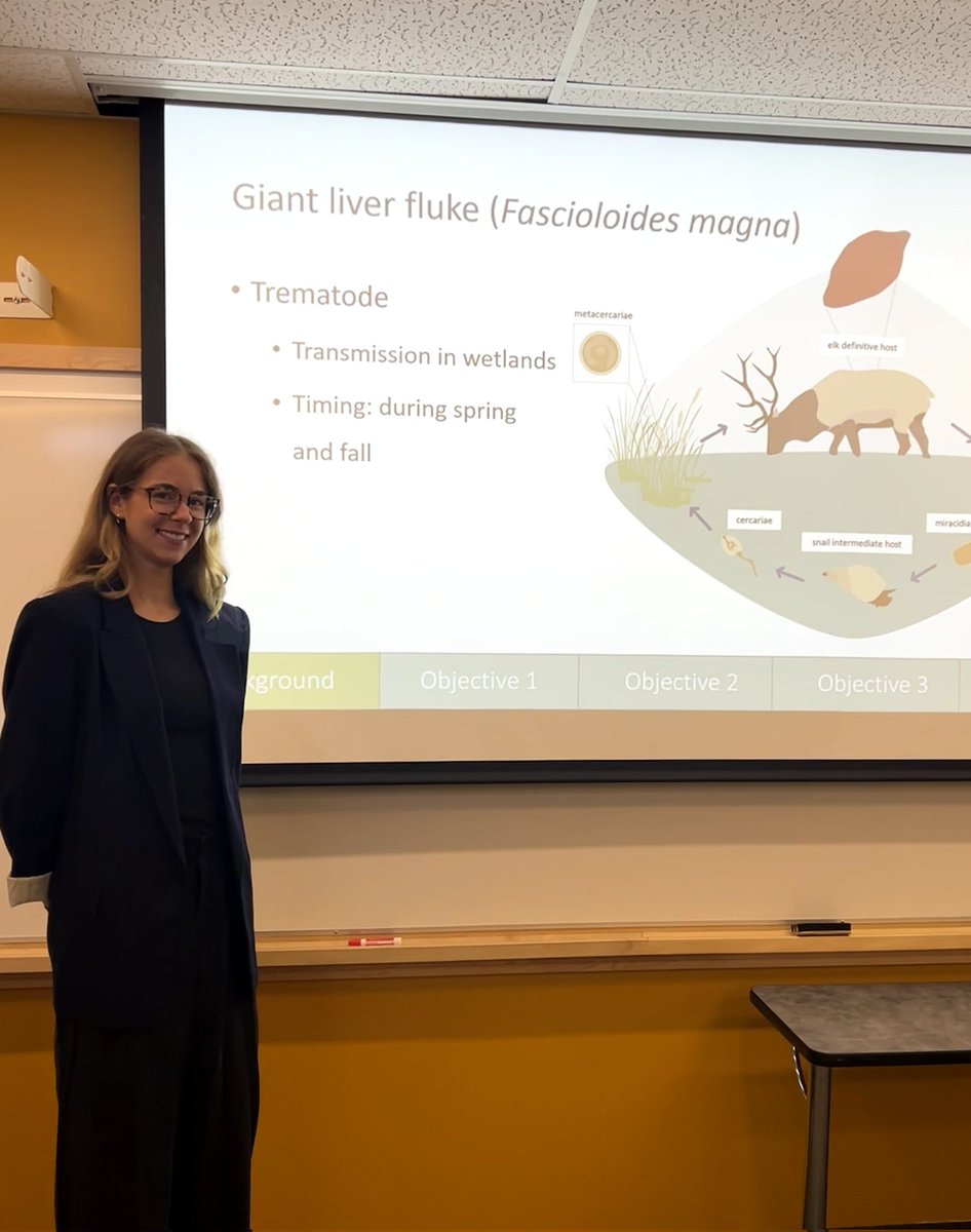 Mathieu Pruvot tweet media