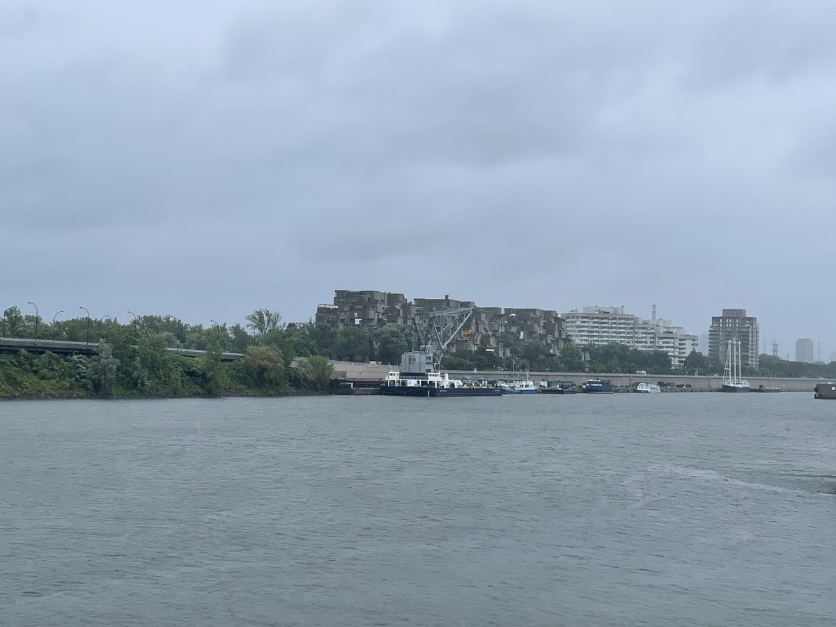 Nancy Sarnoff tweet media