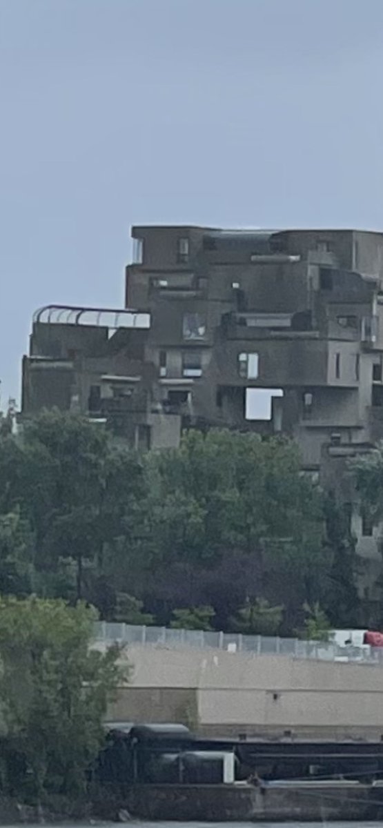 Nancy Sarnoff tweet media