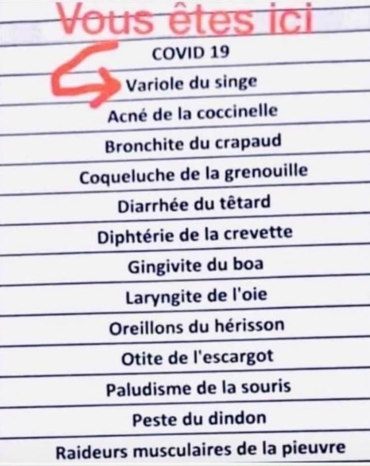 NBouvierOff's tweet image. #vaccins #monkeybox #Variole #COVID19 #KohLanta