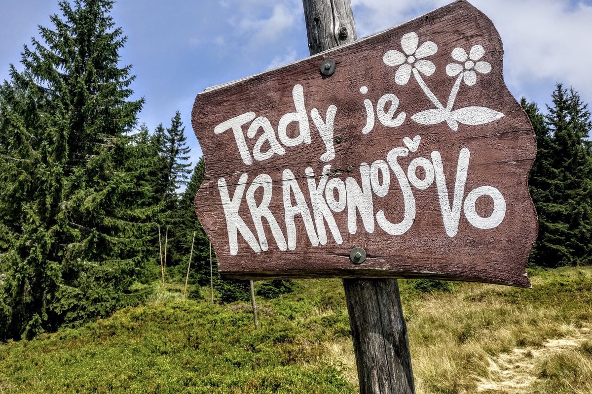 Robin Böhnisch tweet media