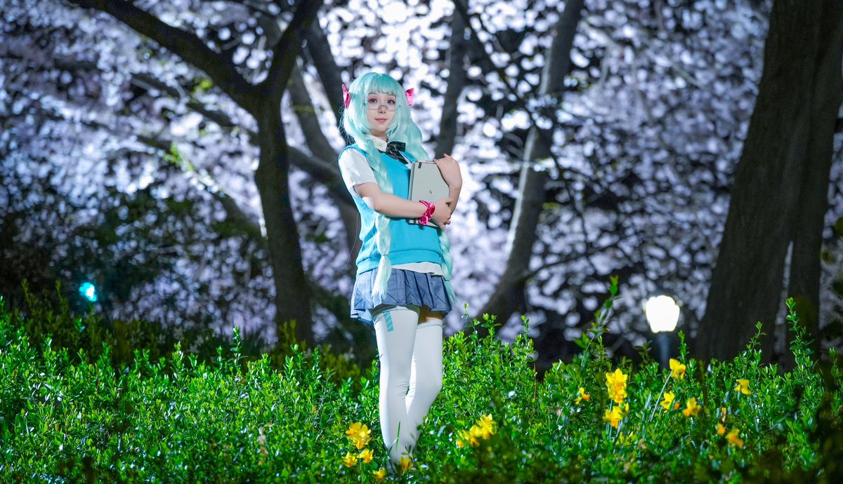 _CarolCina_'s tweet photo. 🌸It looks like it's snowing

📸: little_tanuki

#mikuhatsune #mikucosplay https://t.co/Ky3biDWWo9