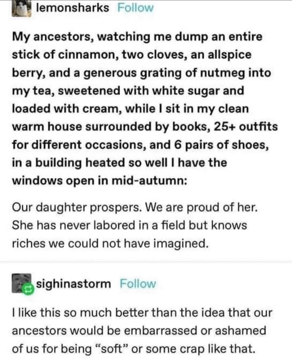 Respectful Memes (@respectfulmemes) on Twitter photo 