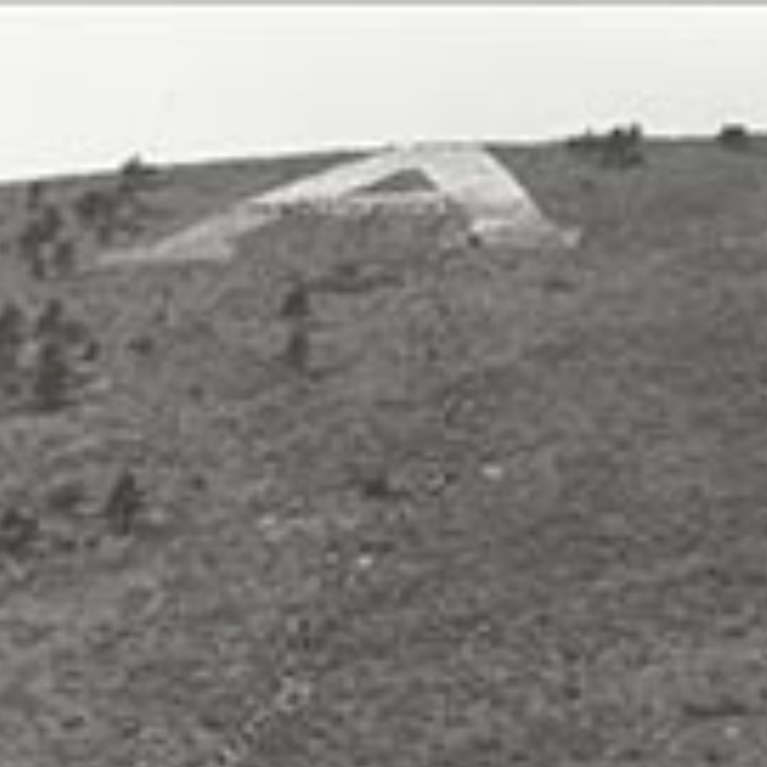 Colorado State University Online tweet media