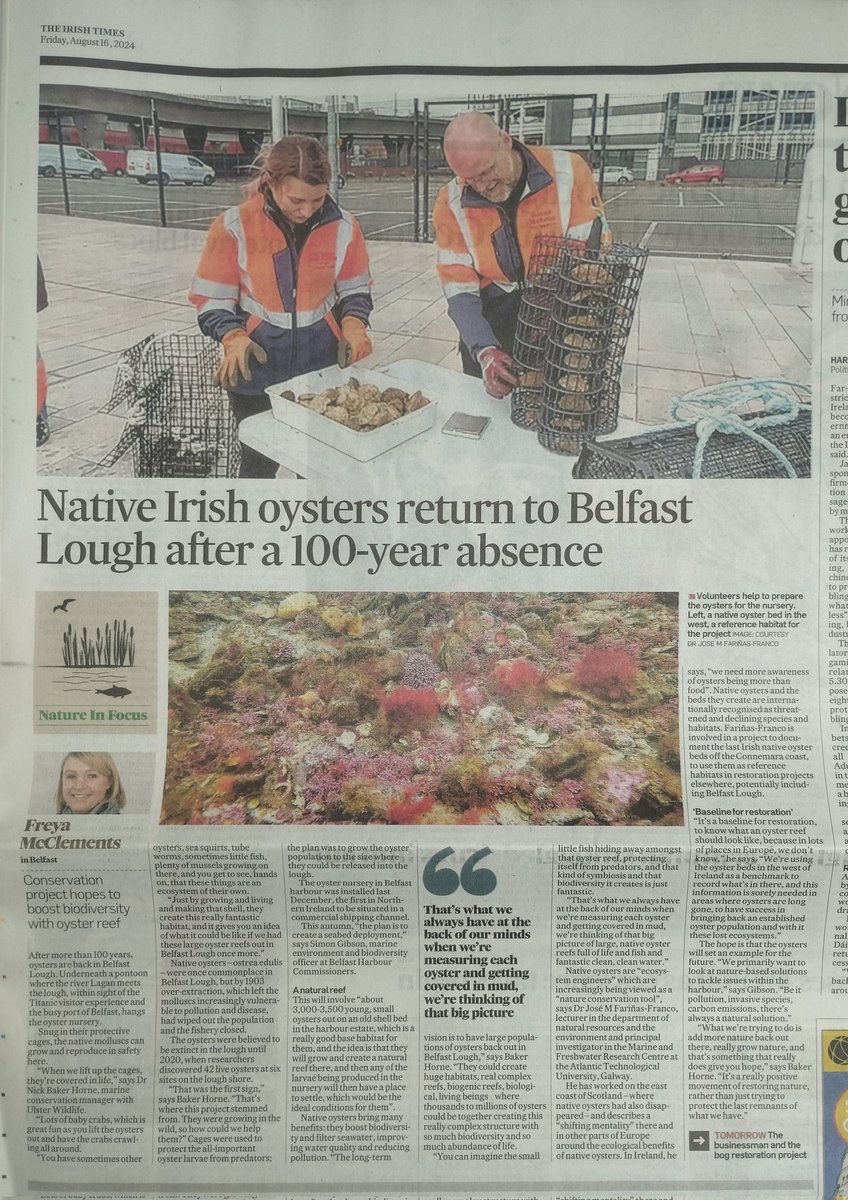 Jose M. Fariñas-Franco (@josemfarinas) on Twitter photo My photo of a native oyster bed featured in last Friday's <a href="/IrishTimes/">The Irish Times</a> piece by <a href="/freyamcc/">Freya McClements</a> on the very exciting Belfast Lough <a href="/UlsterWildlife/">Ulster Wildlife</a> project. Hopefully illustrates what I mean when I say oysters are more than just food.
#restorenature
#biodiversity
irishtimes.com/environment/cl… My photo of a native oyster bed featured in last Friday's <a href="/IrishTimes/">The Irish Times</a> piece by <a href="/freyamcc/">Freya McClements</a> on the very exciting Belfast Lough <a href="/UlsterWildlife/">Ulster Wildlife</a> project. Hopefully illustrates what I mean when I say oysters are more than just food.
#restorenature
#biodiversity
irishtimes.com/environment/cl…