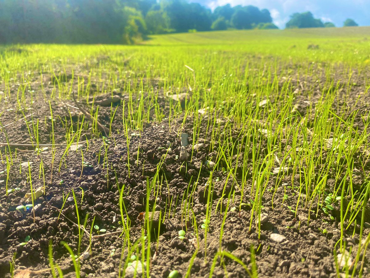 Geraint Davies 🏴󠁧󠁢󠁷󠁬󠁳󠁿 tweet media