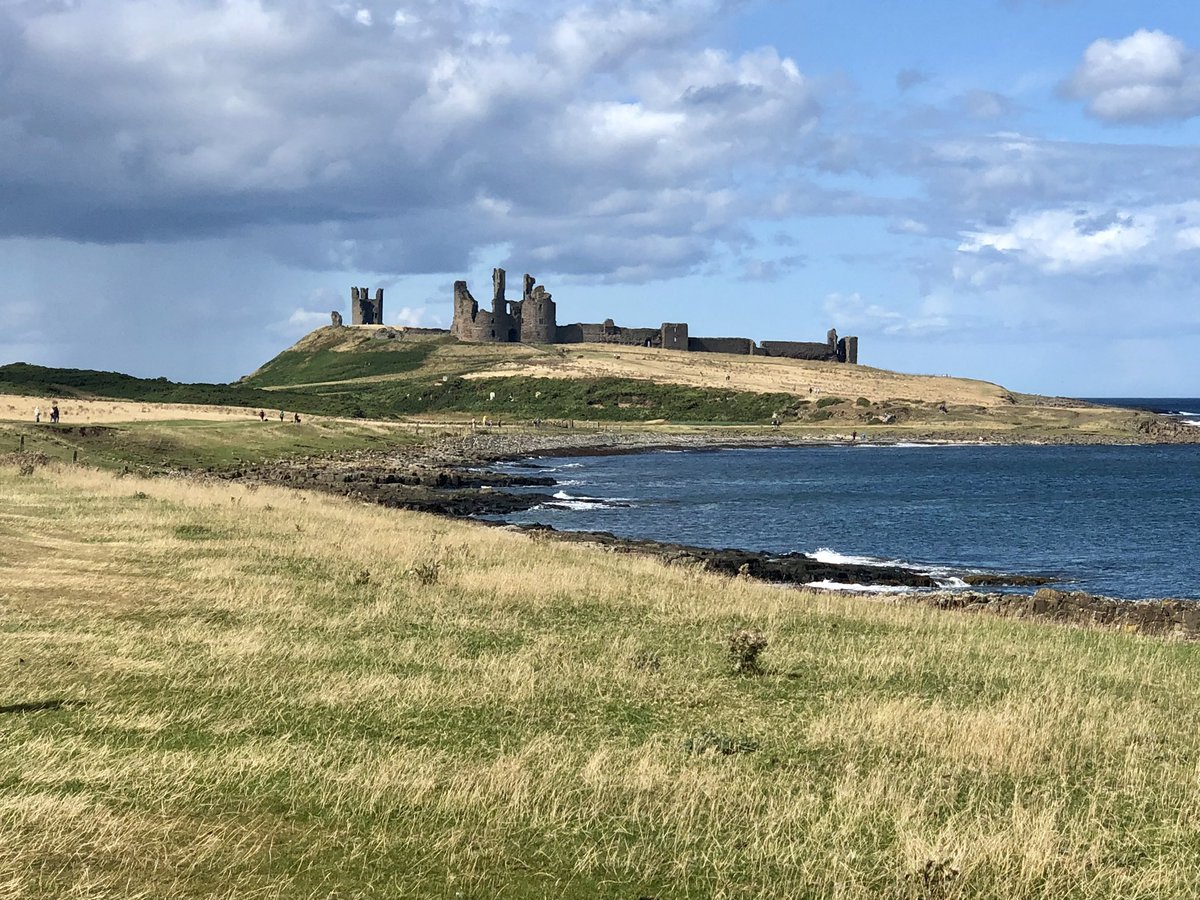 Andrew Richardson tweet media