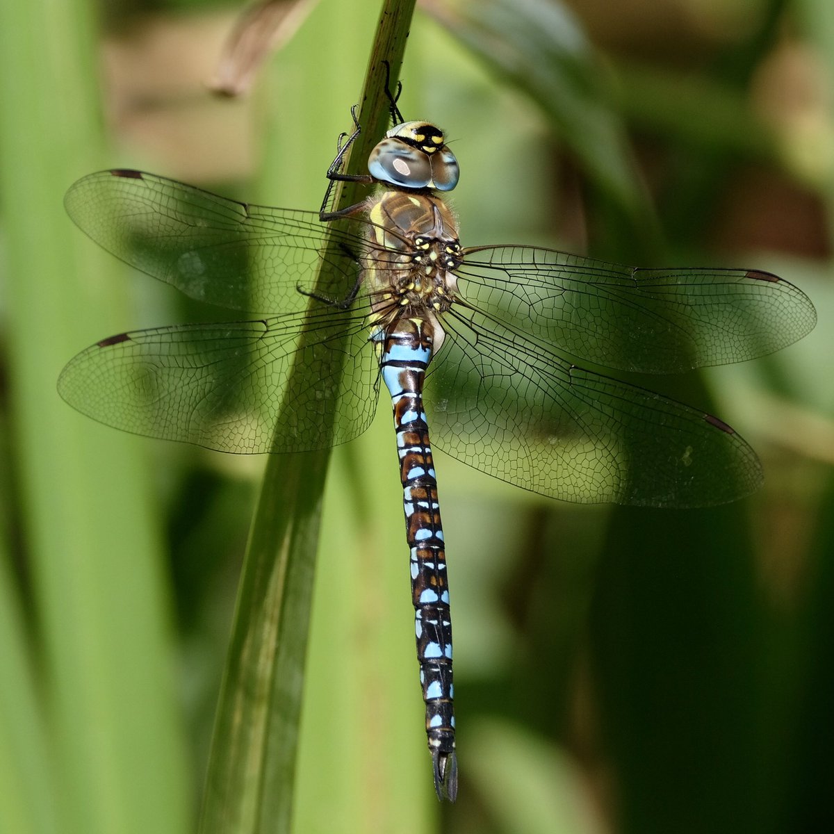 Heather England tweet media