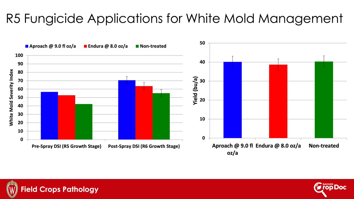 Damon L. Smith (@badgercropdoc) on Twitter photo Revenge fungicide applications never work. Below is some data where we tried rescue treatments of fungicide for white mold management. You can't get diseases under control once they are already moving, especially white mold. Plus negative ROI! <a href="/badgerbean/">Shawn Conley</a> Revenge fungicide applications never work. Below is some data where we tried rescue treatments of fungicide for white mold management. You can't get diseases under control once they are already moving, especially white mold. Plus negative ROI! <a href="/badgerbean/">Shawn Conley</a>