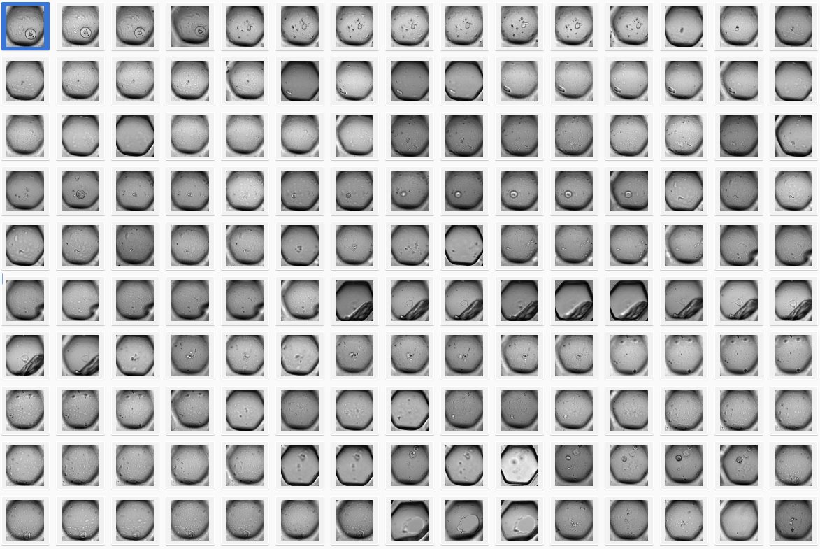 Johannes Soltwedel (@jm_mightypirate) on Twitter photo New blog post🔬💻! biapol.github.io/blog/johannes_… In our group's latest tutorial, I explain how you can train an <a href="/ultralytics/">Ultralytics</a> YOLO object detection/classification 🔍 model for #bioimageanalysis directly from a dataset on an OMERO server <a href="/openmicroscopy/">openmicroscopy</a>. Short summary 👇 New blog post🔬💻! biapol.github.io/blog/johannes_… In our group's latest tutorial, I explain how you can train an <a href="/ultralytics/">Ultralytics</a> YOLO object detection/classification 🔍 model for #bioimageanalysis directly from a dataset on an OMERO server <a href="/openmicroscopy/">openmicroscopy</a>. Short summary 👇