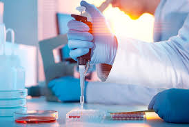 michael_liotta's tweet photo. The methods mentioned above aren’t the only ways in which we can learn whether a substance is toxic. For instance, in vitro tests work to model certain structures simply with cells, not an entire organism. This is non-invasive and predicts toxicity without any harm to animals🧪🧫 https://t.co/nP5VEdbGO8