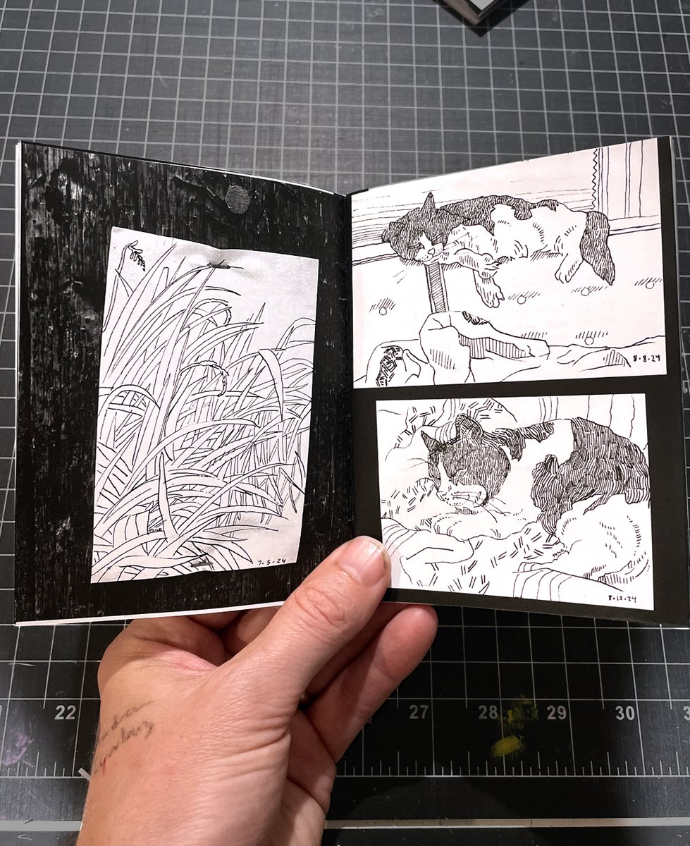 Tom DesLongchamp tweet media