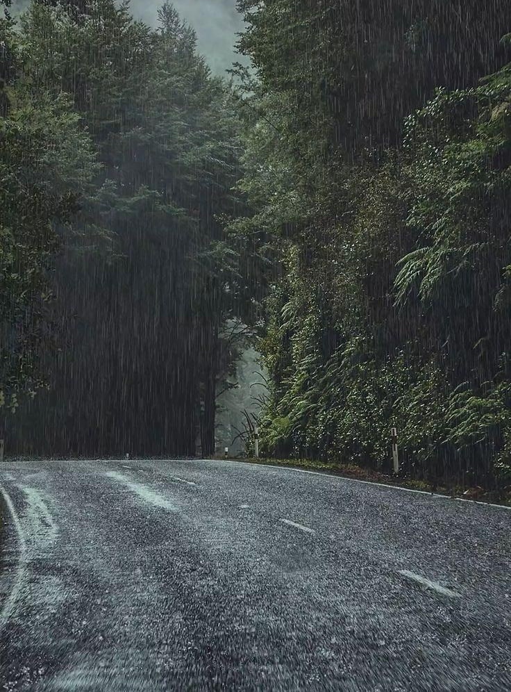 Hariswazir88's tweet photo. Rainy Morning 🩶⚡

Every morning, I wake up saying, 'I'm still alive, a miracle.' ... Enjoy the morning 🩶⚡ https://t.co/2LTflA9CqW