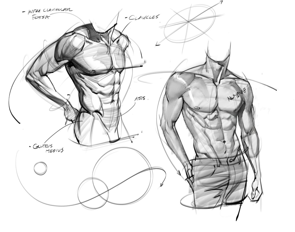 Male torso! #maletorso #lineart #shading #anatomy #humananatomy #drawing #sketches #abs #core #chest #arms #gottogetbetter #gesturedrawing #figuredrawing
