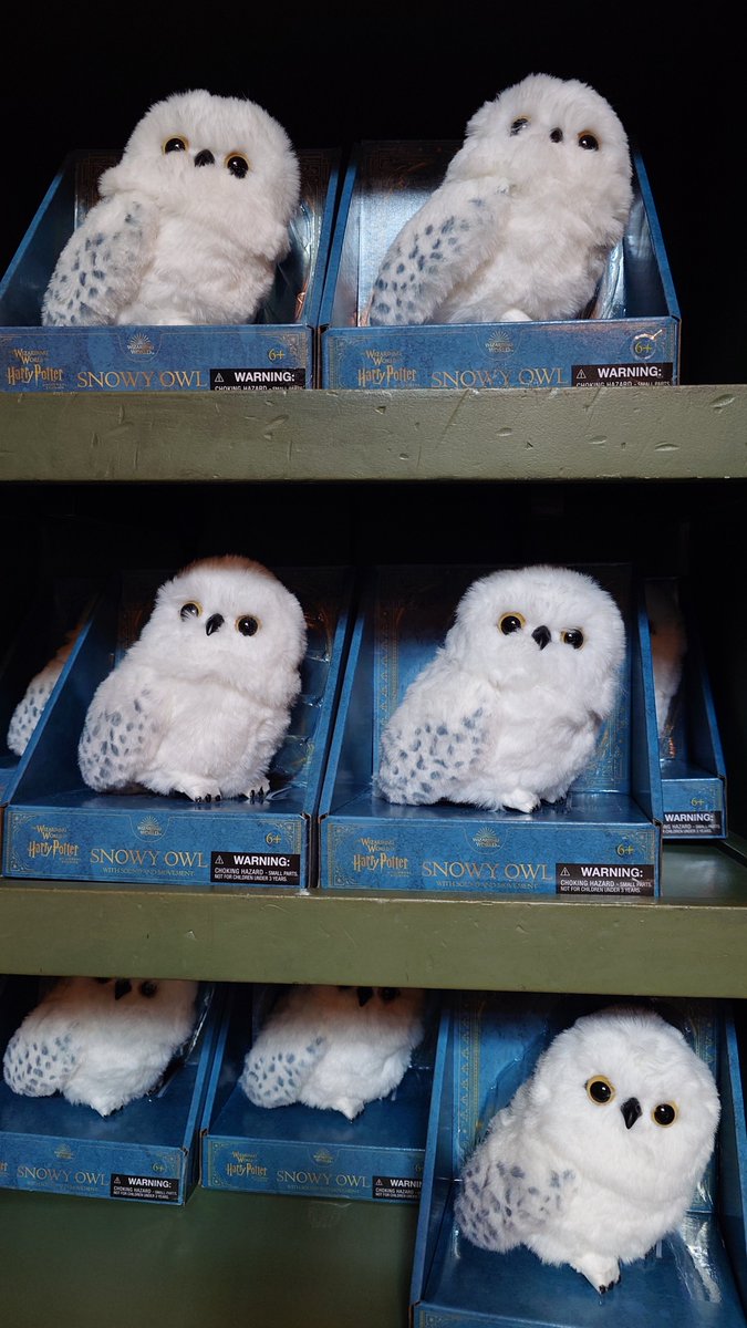 ユニバのハリポタエリアの新商品🧙‍♂️🪄 肩乗せヘドウィグ✨🦉 棚に