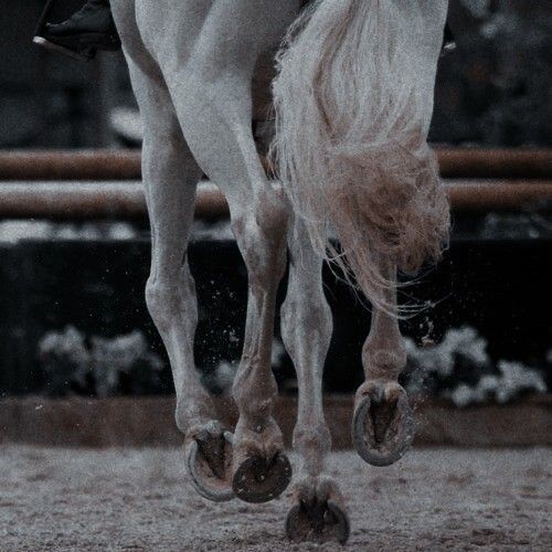 ᅠᅠ𝘽𝙇𝘼𝘾𝙆 𝙁𝙐𝙍𝙔 tweet media