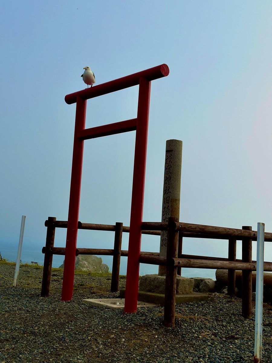 kossy_vette's tweet photo. 警察のお世話になることなく無事1週間の北海道旅行終わり！
本州着いて東京方面のヒッチハイカー居たから乗せてあげた☺️
まさか旅先で2人と連絡先交換することになるなんて思ってなかった！
一人旅最&amp;高やな https://t.co/SF5cOcovBJ
