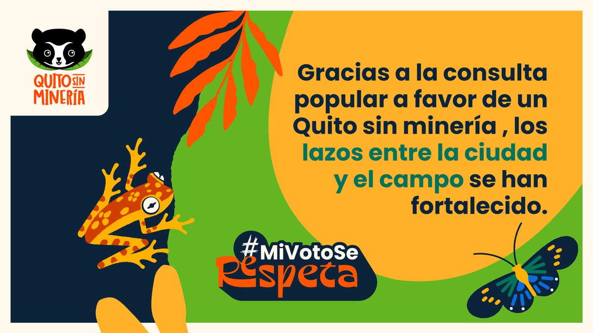 Gracias a la consulta popular, los lazos      entre la ciudad y el campo se han fortalecido. El Chocó Andino es ejemplo      de un modelo sostenible para todo Ecuador. #MiVotoSeRespeta      #QuitoSinMinería #MiVotoSeRespeta #QuitoSinMinería
Tags:  <a href="/MunicipioQuito/">Municipio de Quito</a> <a href="/PichinchaGob/">Prefectura de Pichincha</a> <a href="/R/">Rex Hammock</a>