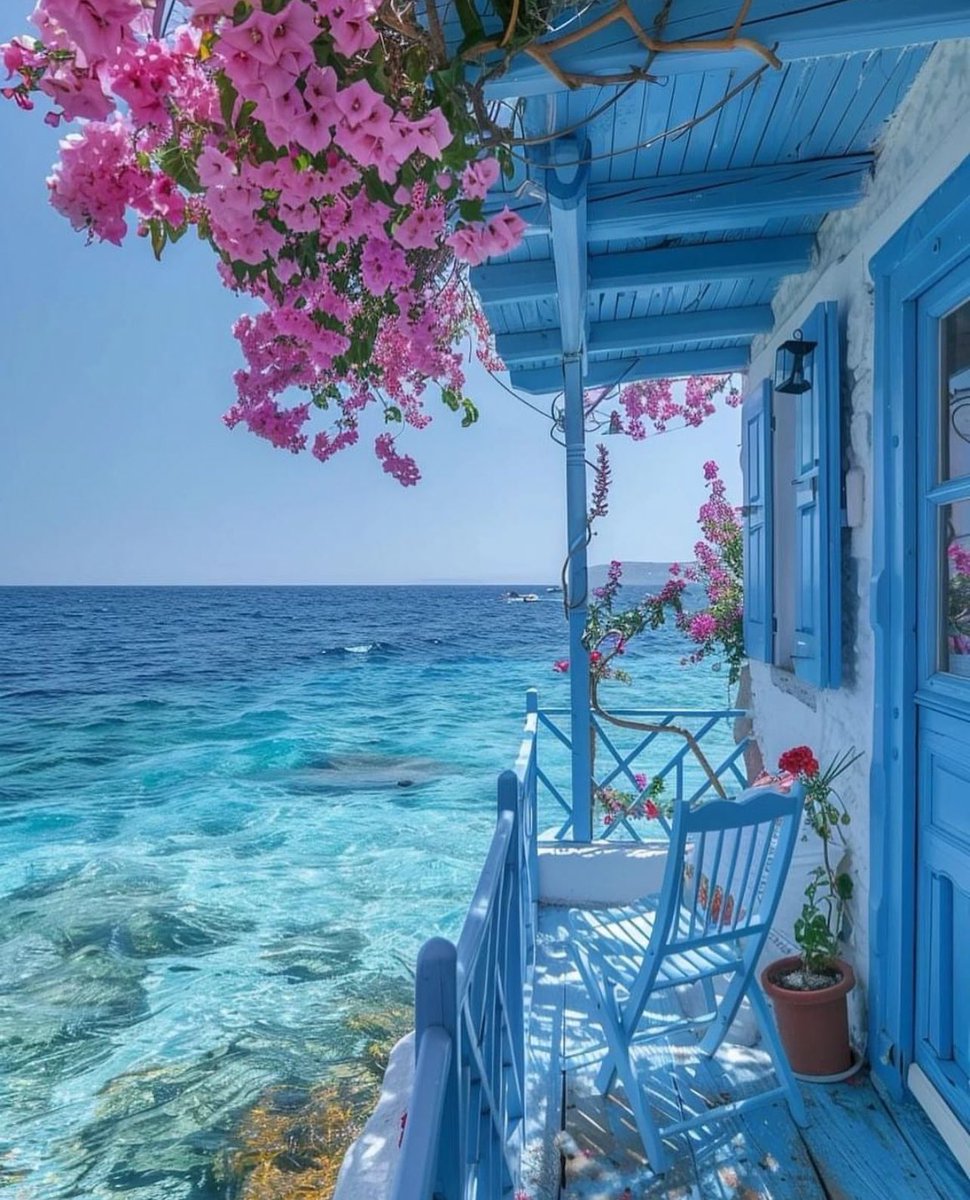 Elle Lookbook tweet media