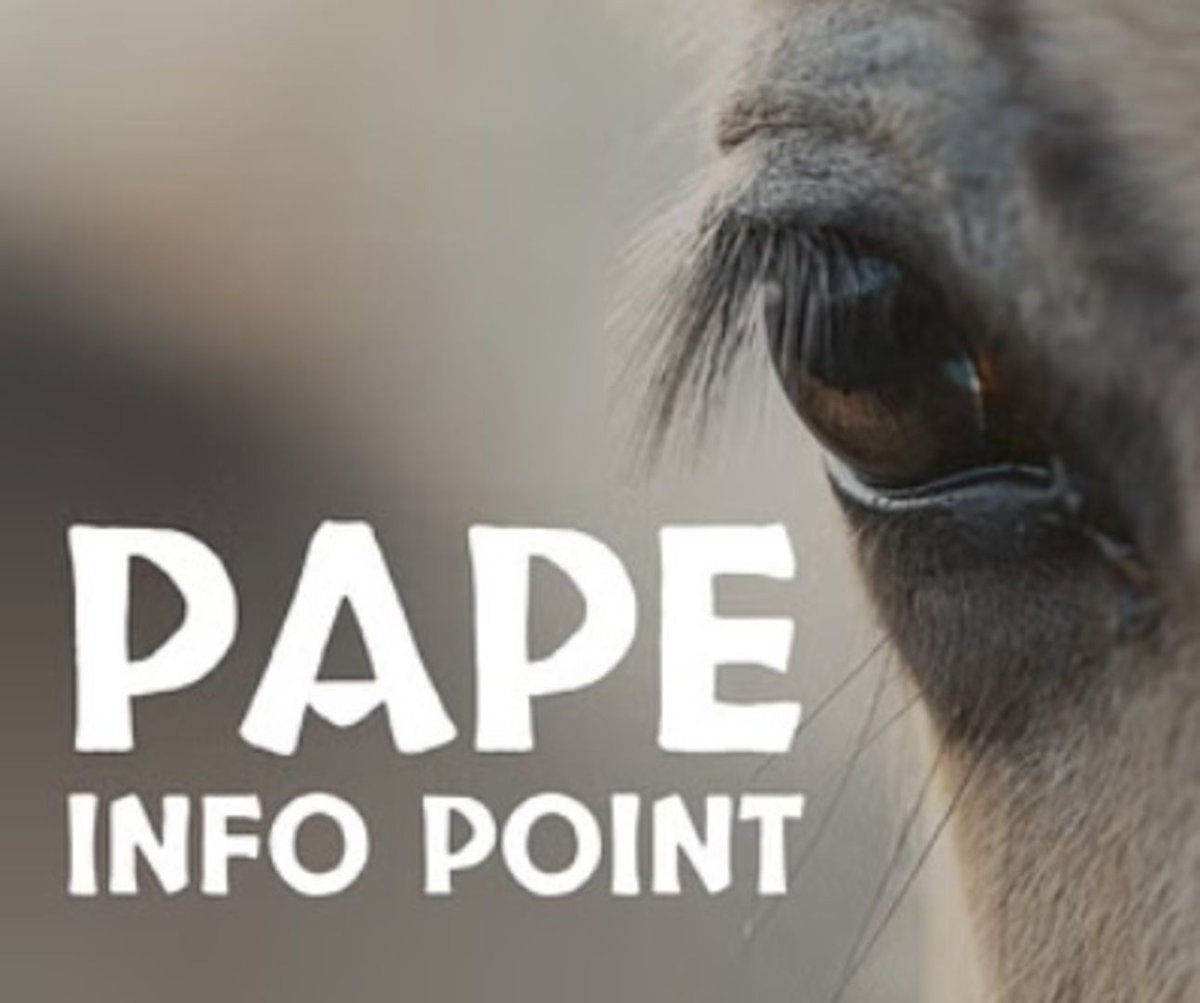 CompeteList's tweet image. 🌍 Calling all designers! 

Join the Pape Info Point competition and create a modular, eco-friendly education stand. 

Your design could help protect one of Europe’s most biodiverse regions! 🌿🏞️ 

buff.ly/3As7E14 
----
#PapeNaturePark #DesignForNature #WWF #NatureLovers