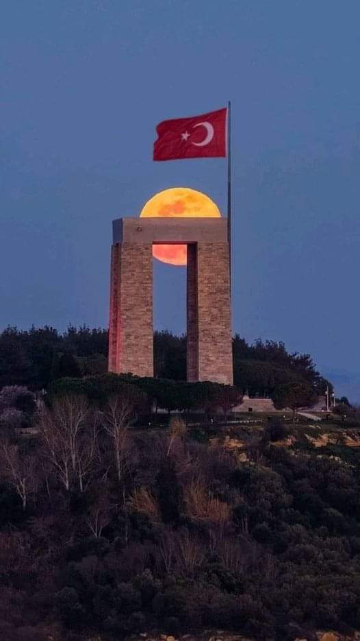 Kale.17.cem 17. (@kale1700644113) on Twitter photo 