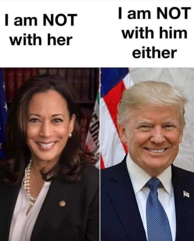 Lars Mapstead tweet media