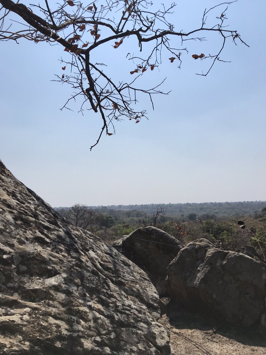 thebejano's tweet photo. #Structural_Geology https://t.co/mtS8s6PY5n