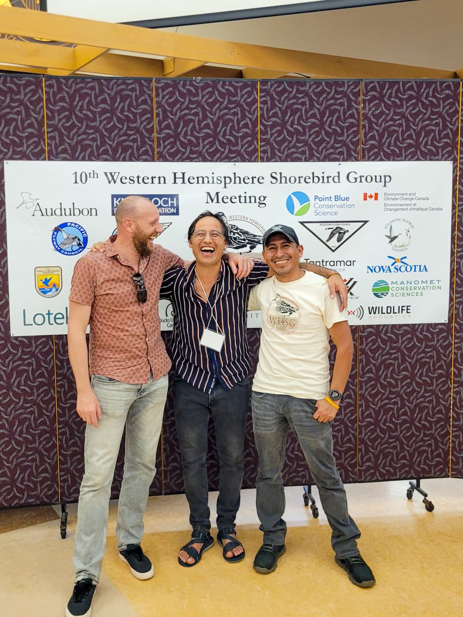 Armonía Bolivia tweet media