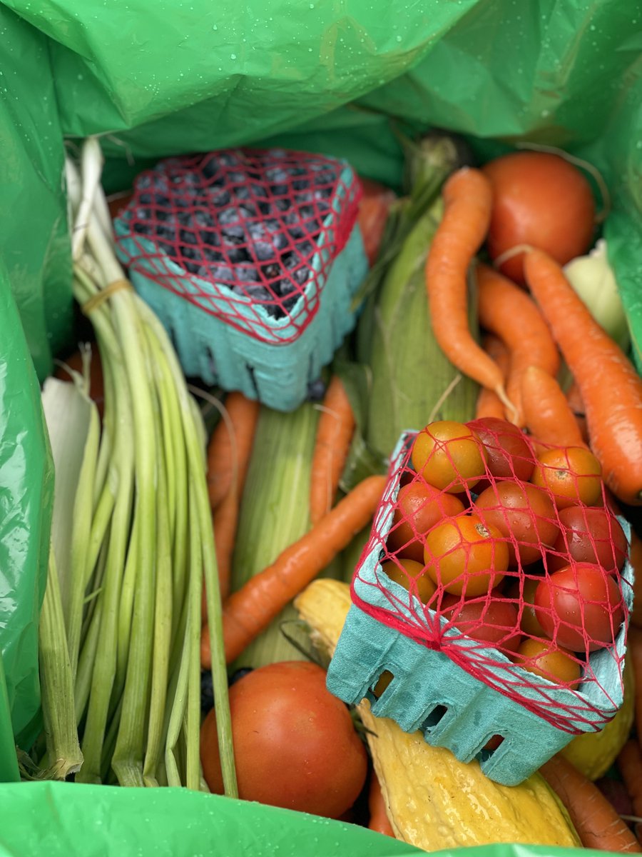 The SCES Nutrition team recently distributed locally grown produce to homebound older adults as part of the Senior Farmers’ Market Nutrition Program!

Boxes included blueberries, peaches, corn, tomatoes, scallions, squash, carrots and more.

Thanks to all who made this a success!