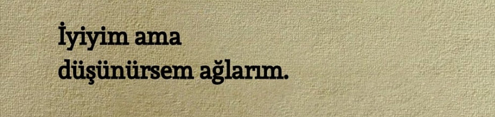 sᴇɴsɪᴢ ʜᴀᴛıʀᴀ (@sensizhatiram) on Twitter photo 