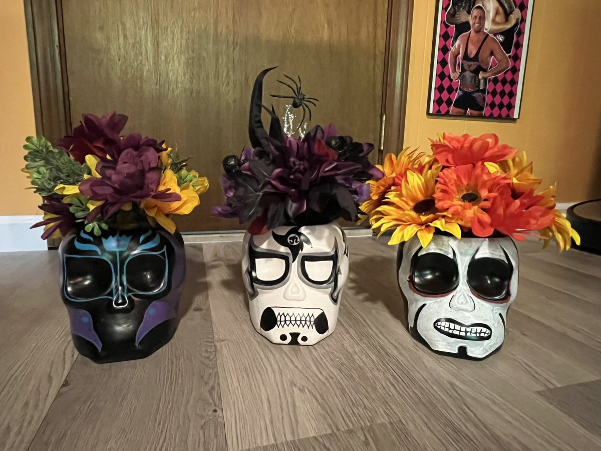 _PrettyOk_'s tweet photo. Hand painted these planters. Added some flowers. Planthausen Sommerhausen @DanhausenAD Plantagon @PENTAELZEROM @reymysterio https://t.co/tPtNLfw8VU
