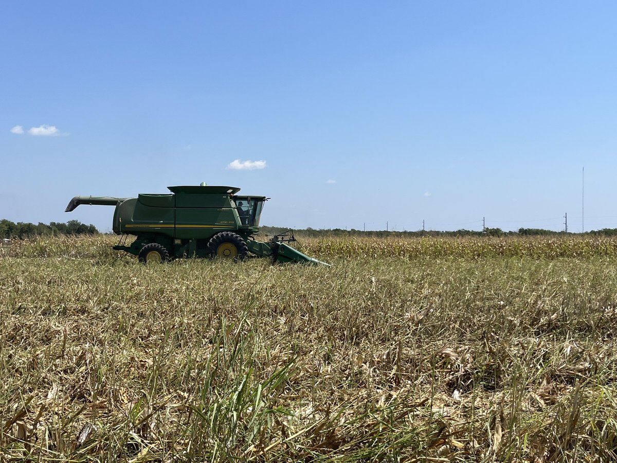 Grace Flusche Ogden tweet media