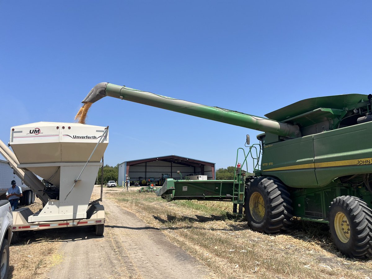 Grace Flusche Ogden tweet media