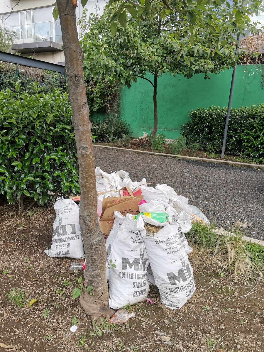 Alberto SH tweet media